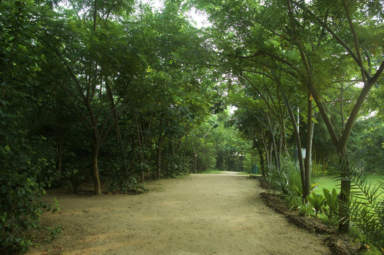เดอะ ริเวอร์วูด ฟอเรสต์ รีทรีต เพนช์ Hotel Khawasa ภายนอก รูปภาพ